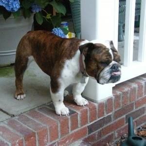 Meet your Posher, Vicky